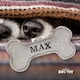 image 2 of History & Heraldry Pre-Personalised Squeaky Bone Dog Toy - Max