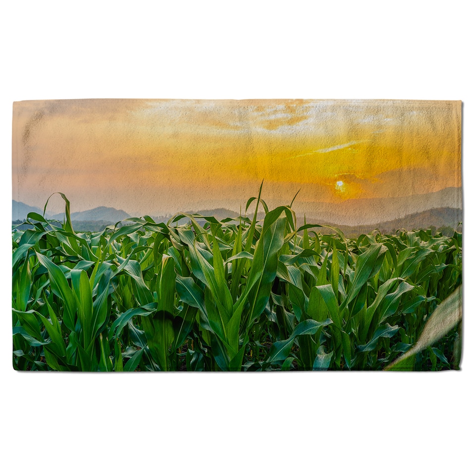 image 1 of green corn field in agricultural garden and light shines sunset Designer Bath Towel | Multi