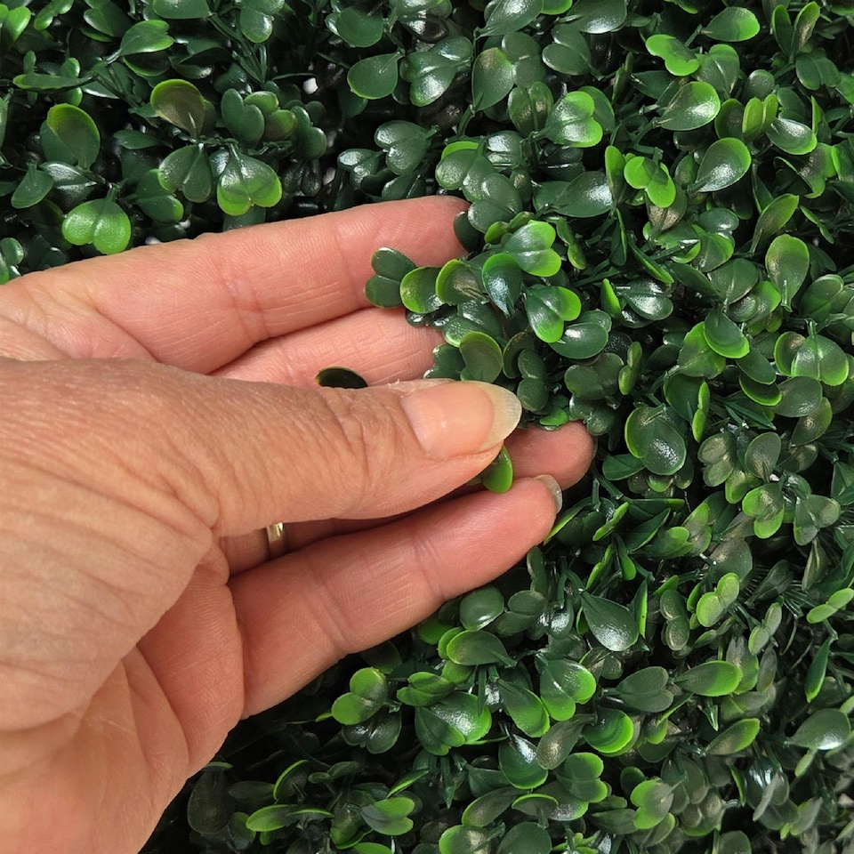 image 1 of True Products Premium Artificial Boxwood Potted Topiary Ball 30cm Dia.