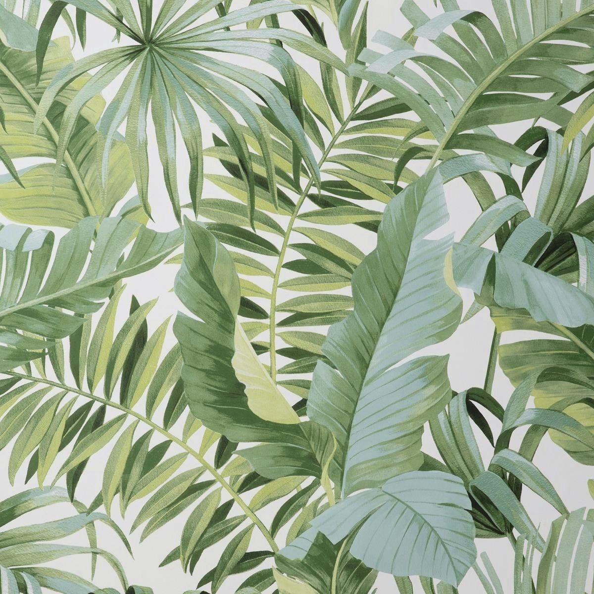 Fine Decor Maui Leaf Wallpaper - Green - One Size Green