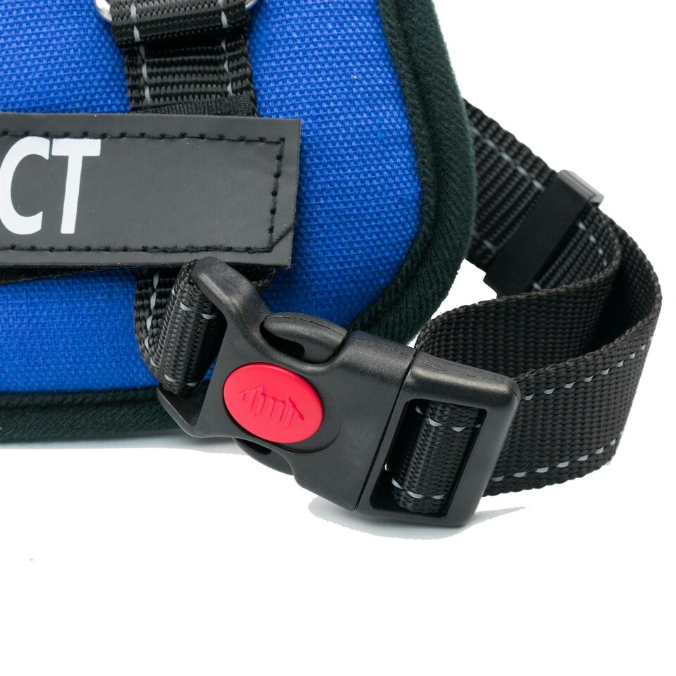 image 1 of KCT Large Blue Padded Dog Harness Blue | L