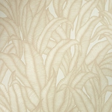 Sample of Riviera Tropical Wallpaper in Cream Multi