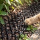 image 2 of GEEZY 6 Piece Animal Repellent Mats, Plastic, Black, 49 x 14 cm