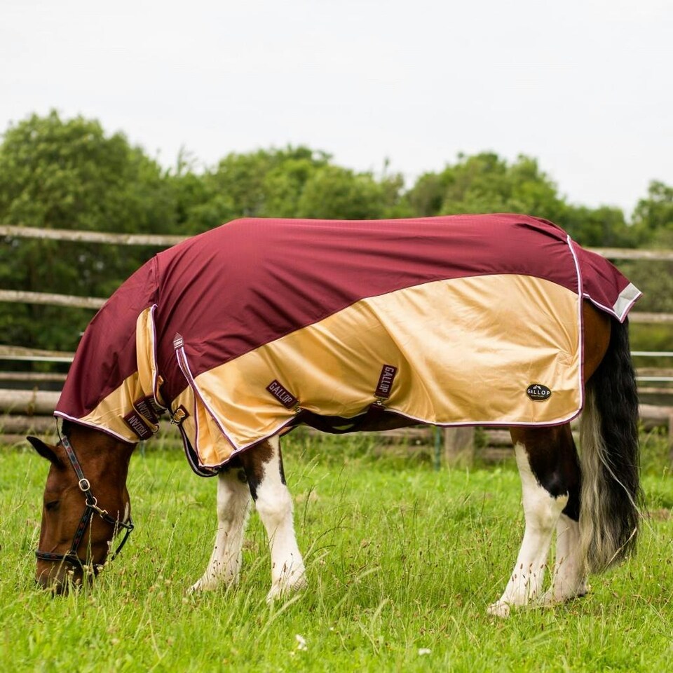 image 1 of Gallop Equestrian Trojan Xtra Fly Turnout Combo Red | Size: 6ft 9
Colour: Burgundy
