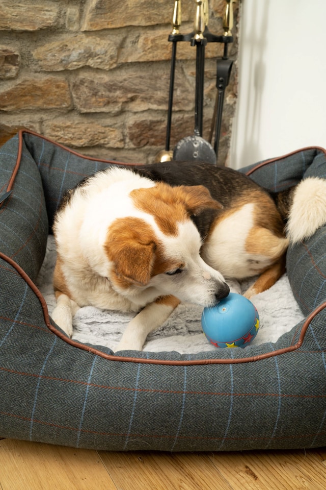 image 1 of PETFACE TWILIGHT TWEED SQUARE PET BED MED