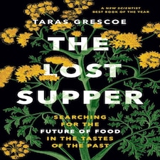 Lost Supper