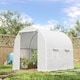 image 2 of Outsunny Greenhouse Solid Frame Walk-in Garden Grow Large Insect Poly Tunnel
