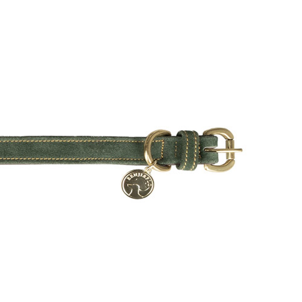image 1 of Benji & Flo Noble Suede Dog Collar | Green | Green/Gold | S | 1