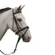 image 2 of Hy Padded Flash Bridle with Rubber Grip Reins - Black - X-Small