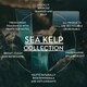 image 4 of Scottish Fine Soaps Sea Kelp Pamper Essentials Gift Set