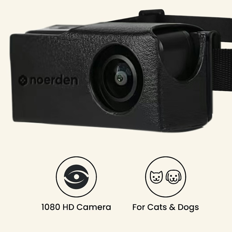 image 1 of PetPOV (HD Camera Collar) Black | M