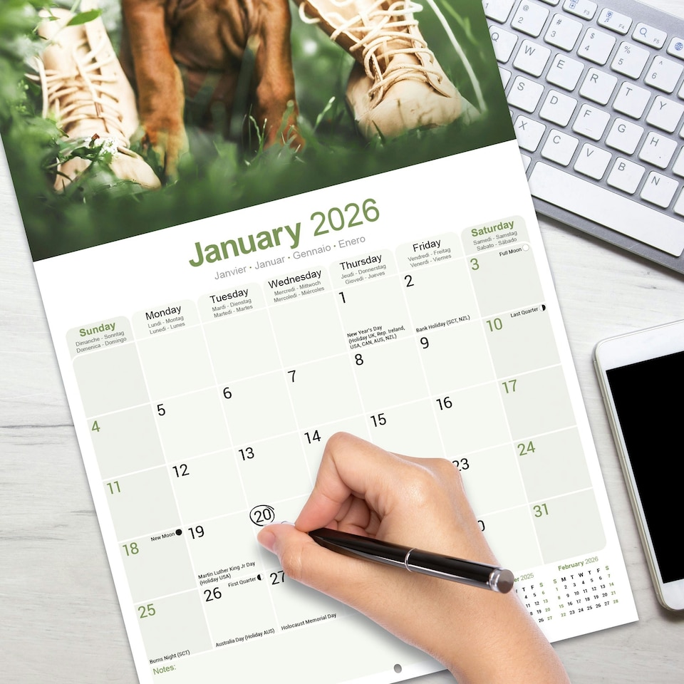 image 1 of Rhodesian Ridgeback 2026 Calendar | Square Wall Calendar | Dog Breed Gift | Plastic Free Packaging | by Avonside Publishing