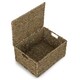 image 1 of Seagrass Storage Baskets Green | Green | L