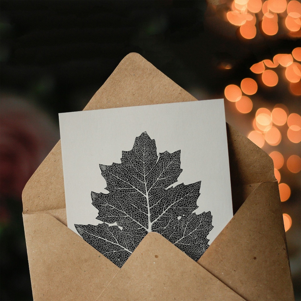 image 1 of Owen Jones Art Card Vintage Black and White Leaf Drawing