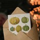 image 3 of Ernst Benary Art Card Melon Varieties Vintage Illustration