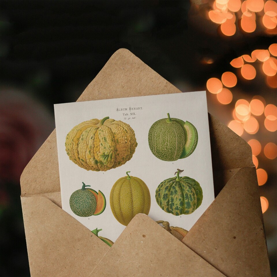 image 1 of Ernst Benary Art Card Melon Varieties Vintage Illustration