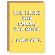 You Drink Swear Like Fun Joke Humour Funny Birthday Card