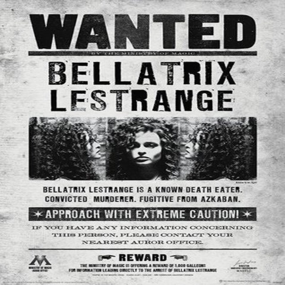 LX - HARRY POTTER (BELLATRIX WANTED) - HARRY POTTER