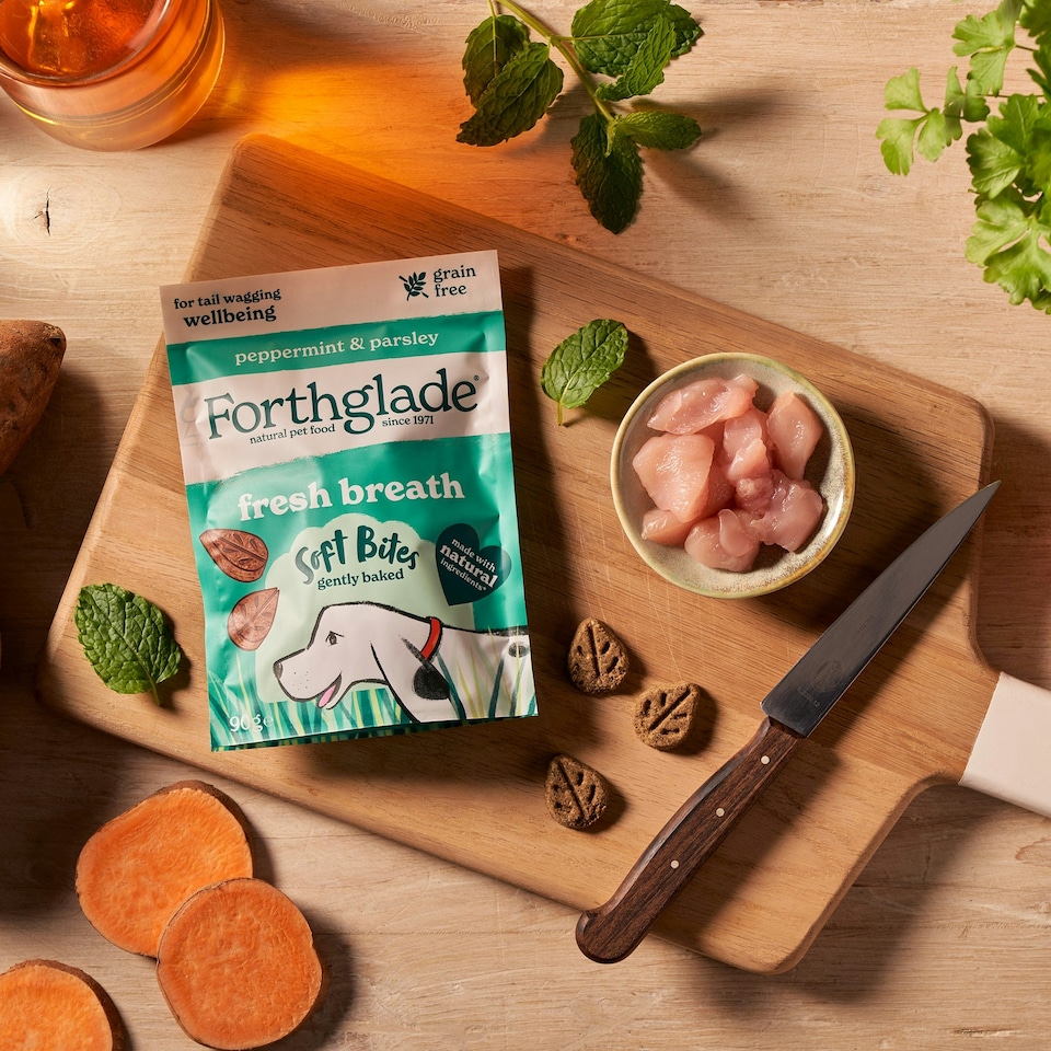 image 1 of Fresh Breath Peppermint & Parsley Dog Treats (8x90g)