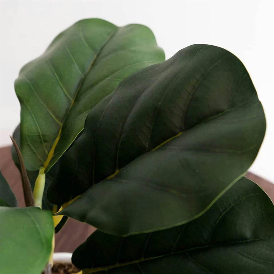 image 1 of 38cm Potted Artificial Fiddle Fig Plant