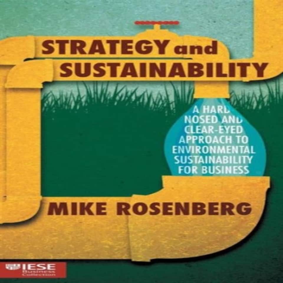 Strategy And Sustainability
