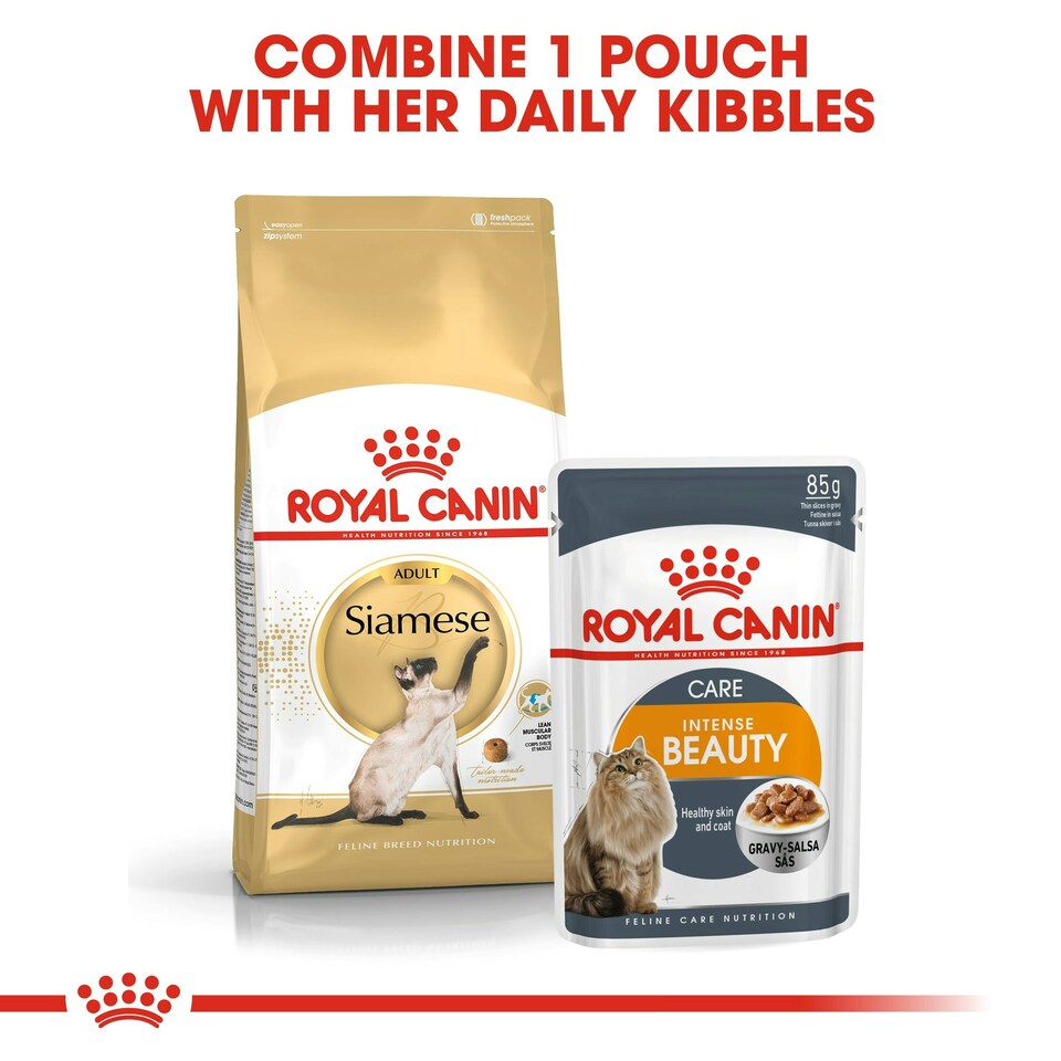 image 1 of ROYAL CANIN® Siamese Adult Dry Cat Food N/A | Size: 2kg
Breed: Adult