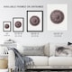 image 3 of Sea Urchin Marine Life Illustration Albert I Huge Wall Art Poster Print 24X32"