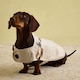 image 6 of Joules Sandshell Large Dog Raincoat