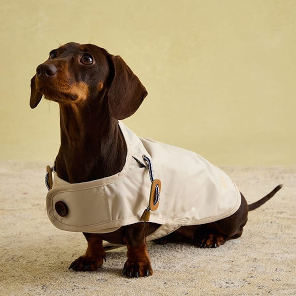 image 1 of Joules Sandshell Large Dog Raincoat