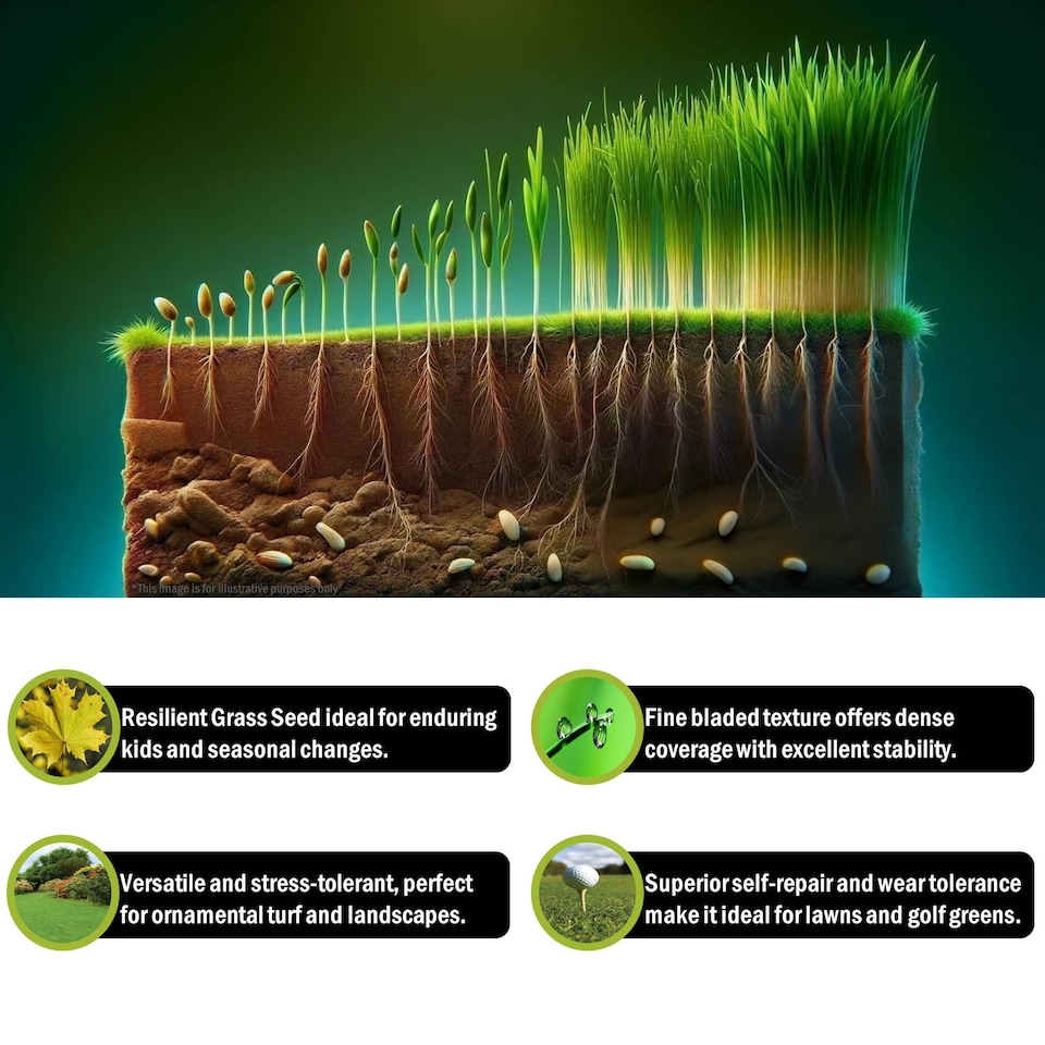 image 1 of Pegdev Hardwearing Grass Seed Resilient Lawn High Yield for Gardens & Parks 1.5kg