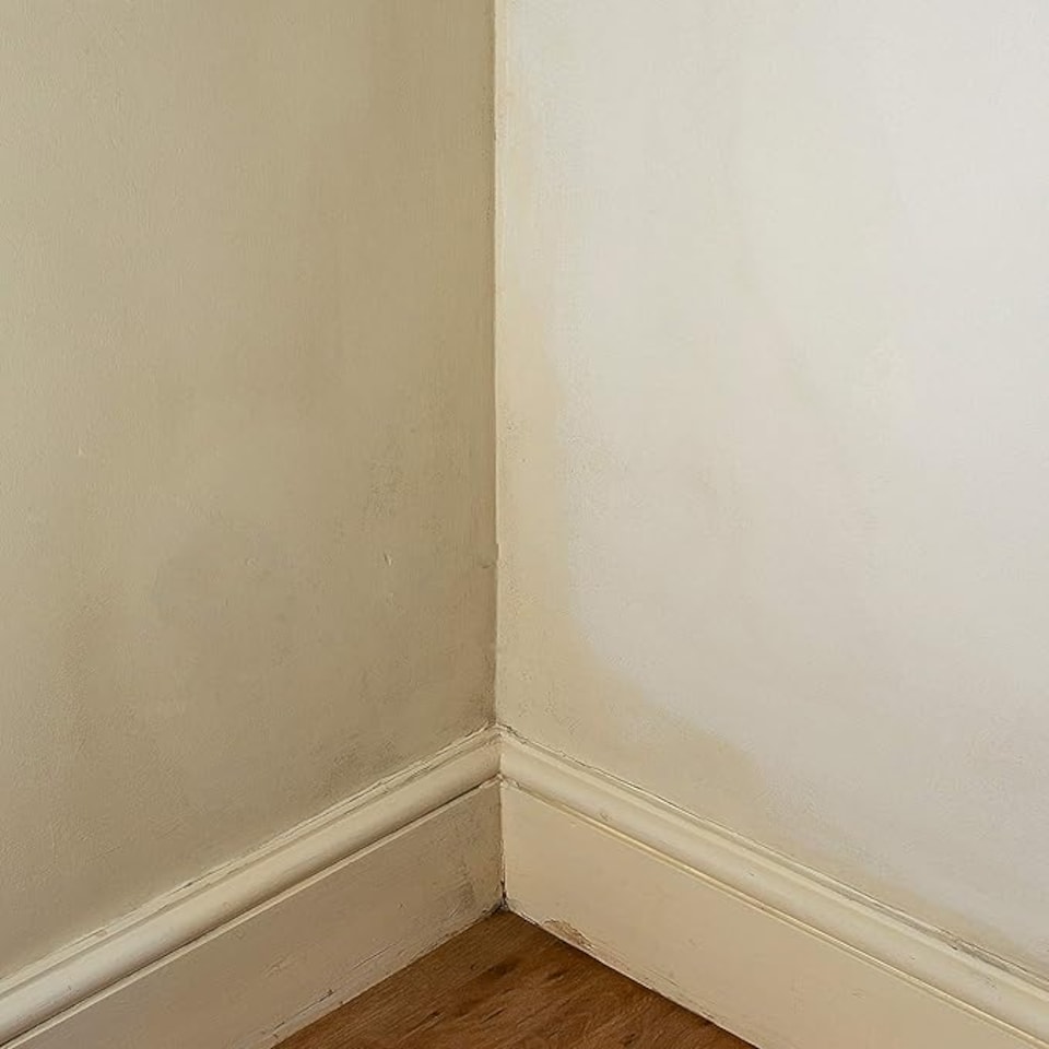image 1 of Dryzone 100 Mould Spray & Dryzone Anti-Mould Paint Additive - Remove & Prevent Mould