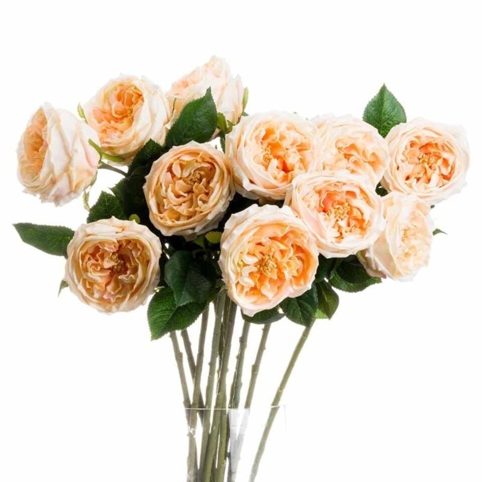 image 1 of Butter Portland Rose Artificial Flower - L7 x W12 x H72 cm