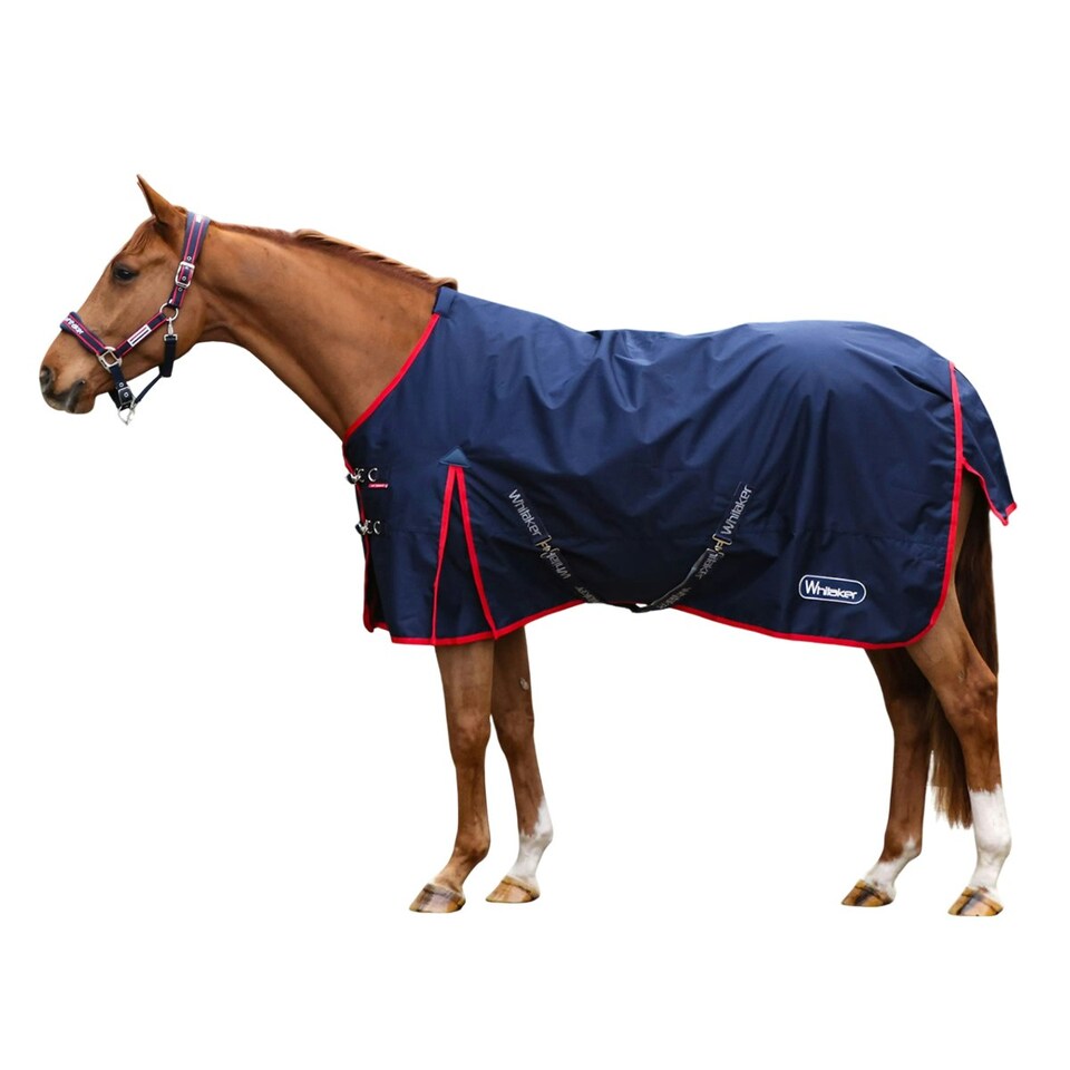 Whitaker Rastrick V2 Standard-Neck Contrast Detail Horse Turnout Rug - Navy - 5´ 6"