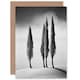 image 1 of Cypress Trees Snowy Hill Winter Landscape Birthday Card