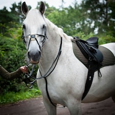 Gallop Equestrian Running Martingale Black | Size: Full
Colour: Black