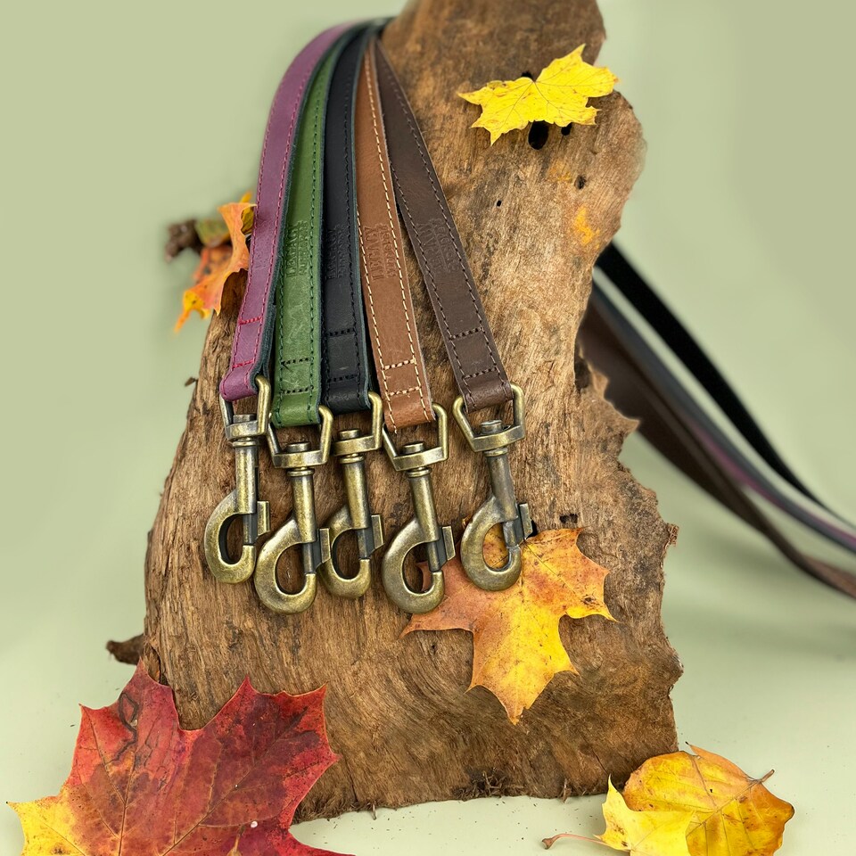 image 1 of HugglePets Legacy Leather Dog Lead Brown | Tan