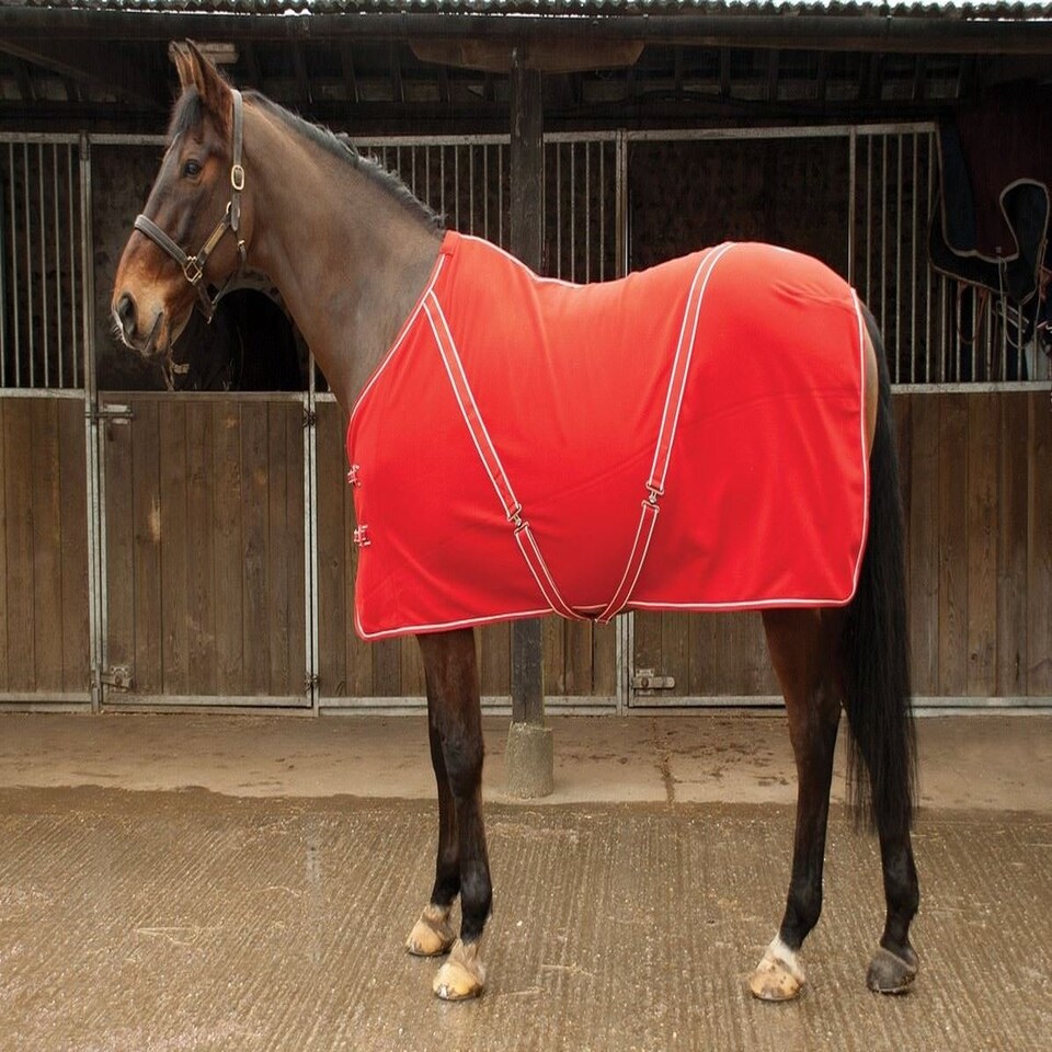 image 1 of Rhinegold Comfey Fleece Rug Red | Size: 6ft 0
Colour: Red