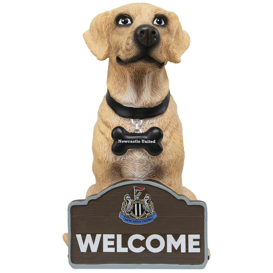 Newcastle United FC Labrador Garden Gnome - Brown/White/Black - One Size