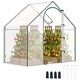 image 1 of Outsunny Portable Walk-in PVC Greenhouse w Zipped Door for Flowers Plant