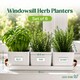 image 2 of Set of 6 White Indoor Herb Pots with Tray
