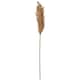 image 1 of Hill Interiors Dried Pampas Grass Artificial Flower - Taupe - One Size