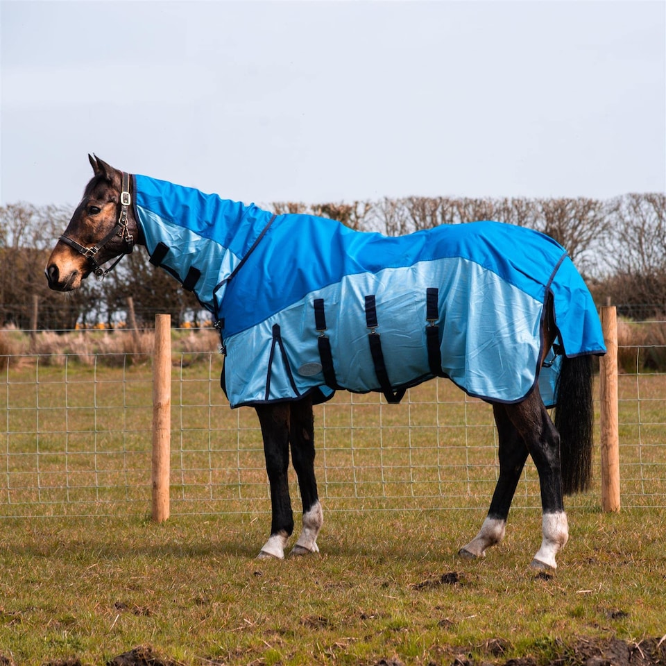 image 1 of eQuitack 600D 2 in 1 Waterproof Fly Turnout Mesh Horse Rug Fixed Neck Blue/Light Blue 6'6''