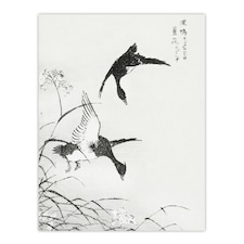 Tufted Duck and Reed Flower Japanese Vintage Wall Art Print Kashu 12x16"