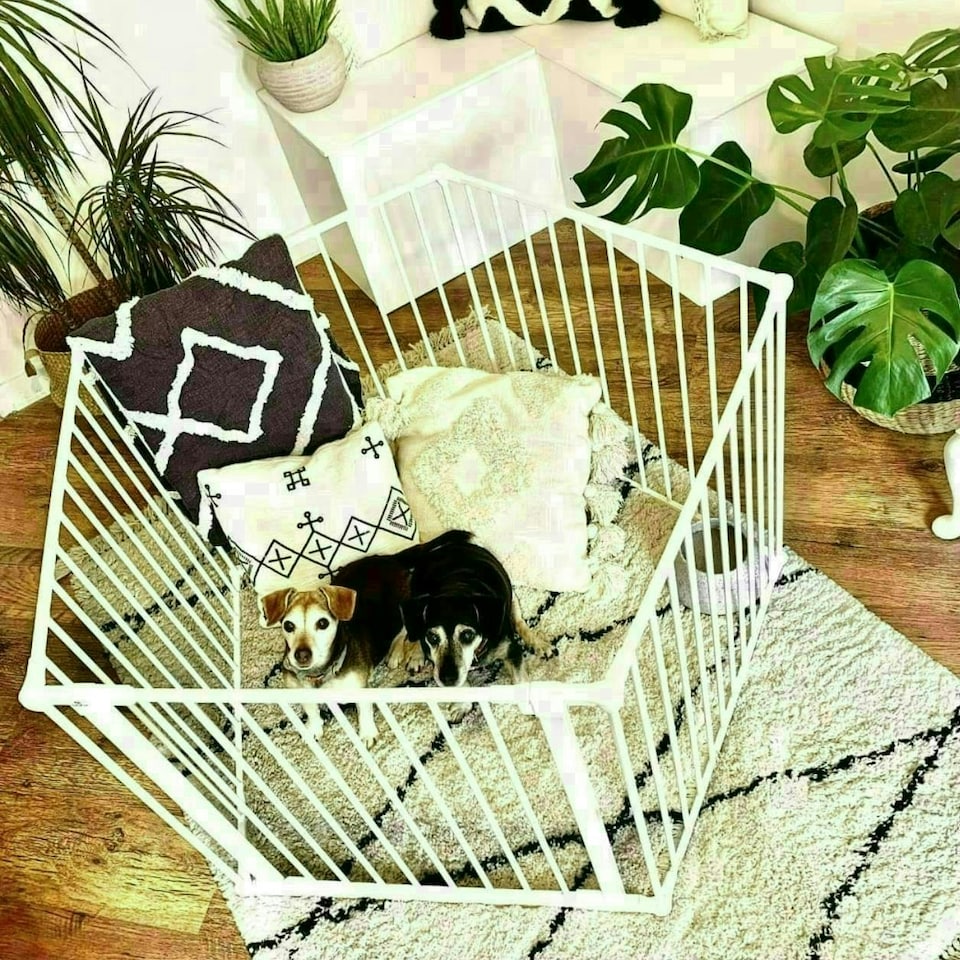 image 1 of Bettacare Pet Pen, 105cm x 144cm, White, 70cm High, Dog Pen for Pets and Puppies, Dog Playpen suitable for Indoor and Outdoor use White