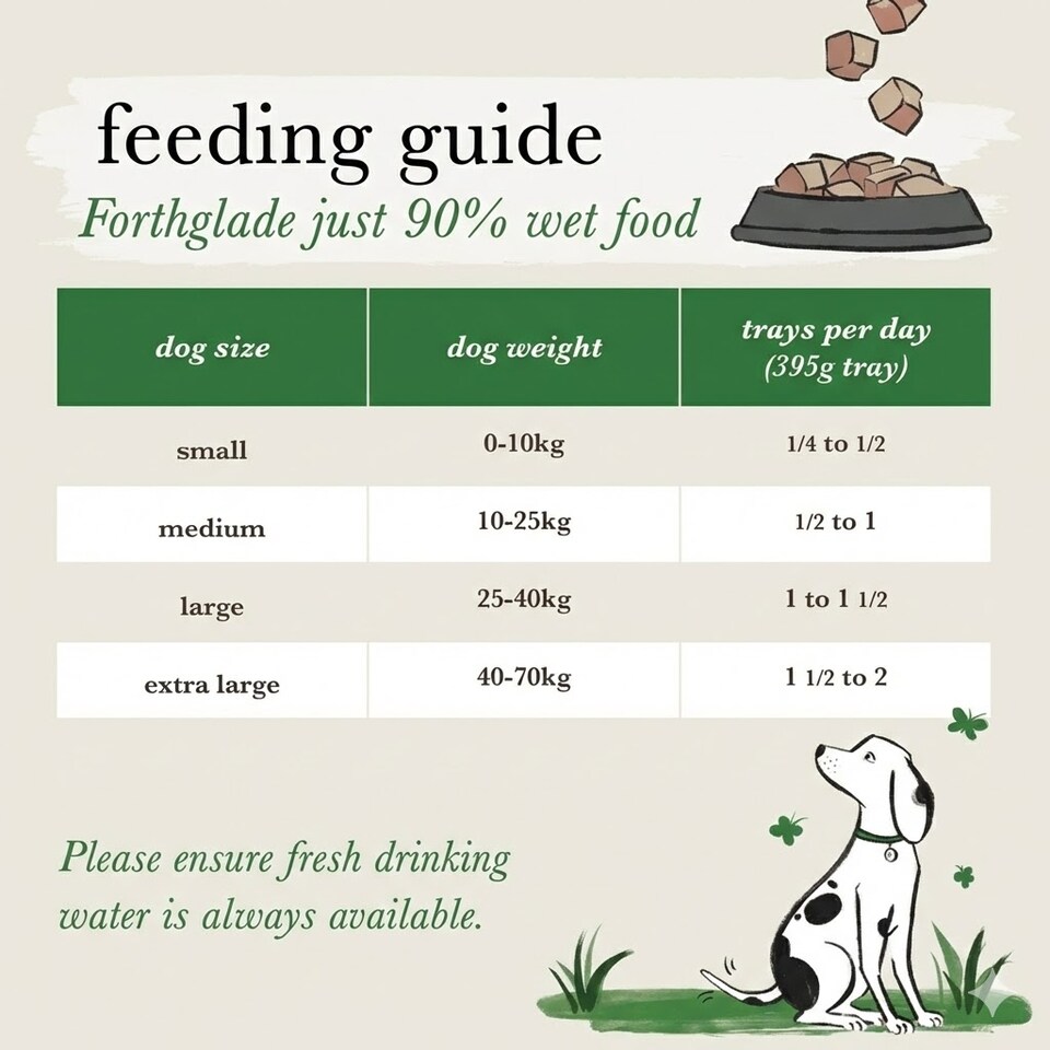 image 1 of Forthglade Just Lamb Complementary Wet Dog Food - 6 x 395g