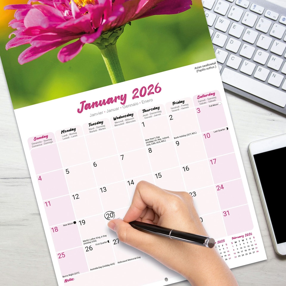 image 1 of Butterflies 2026 Calendar | Square Wall Calendar | Animal Gift | Plastic Free Packaging | by Avonside Publishing