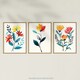 image 5 of Set of 3 Prints Wildflowers Floral Watercolour Bright Wall Art