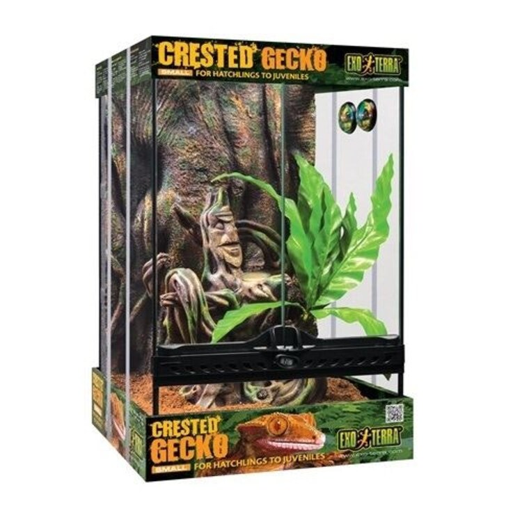 Exo Terra Crested Gecko Kit Small (30X30X45Cm Tall)