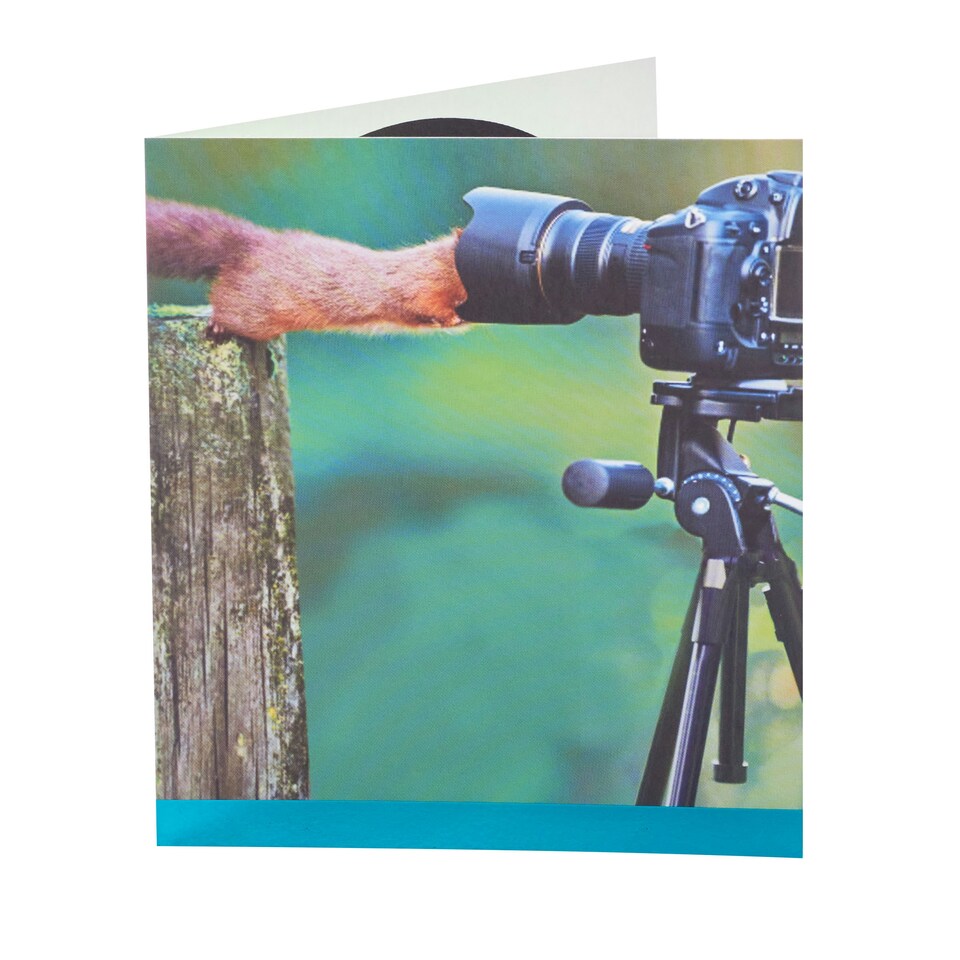 image 1 of Humour Birthday Card - Squirrel In Camera