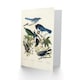 image 2 of John James Audubon Art Card Magpie Clarks Crow and Jays
